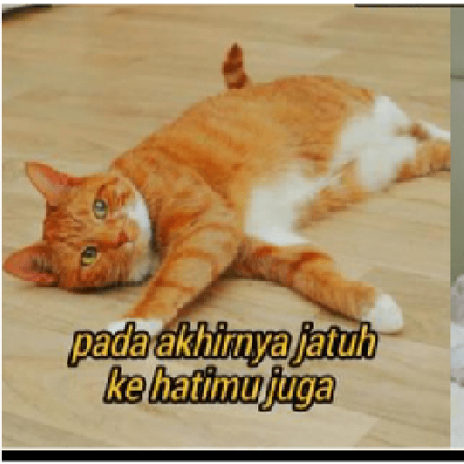 Stiker kucing cute 22