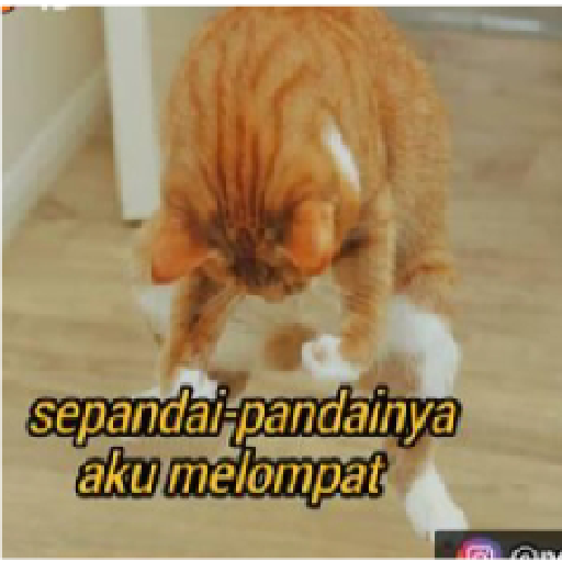 Stiker kucing cute 21