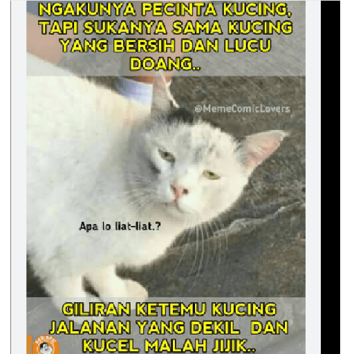 Stiker kucing cute 20