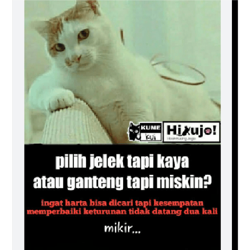 Stiker kucing cute 15