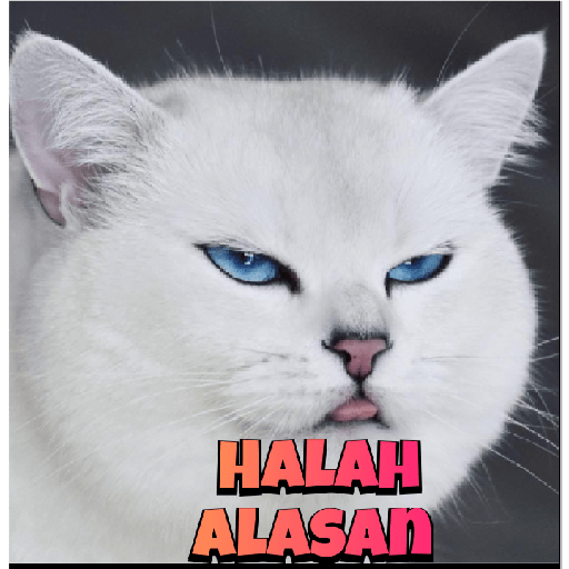 Stiker kucing cute 13