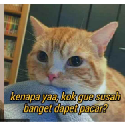 Stiker kucing cute 2