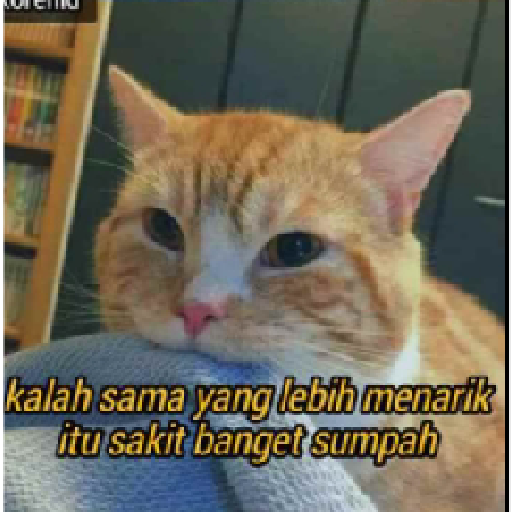 Stiker kucing cute 4