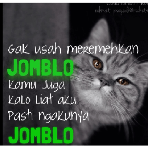 Stiker kucing cute 6