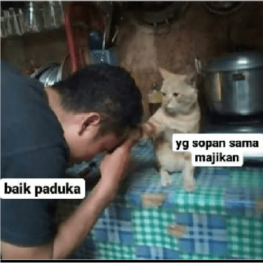 Stiker kucing cute 8