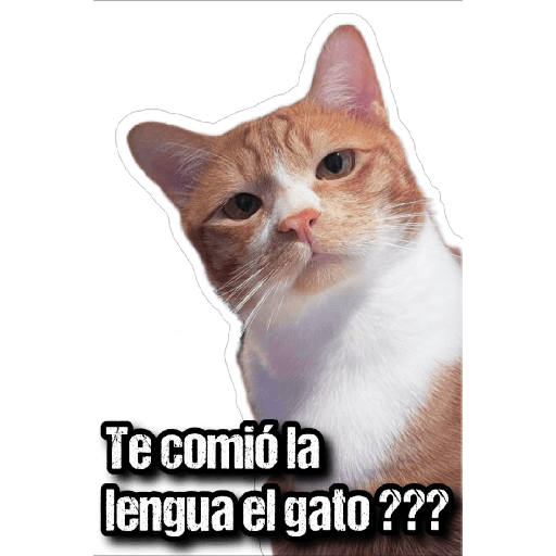 GATOS 2 12