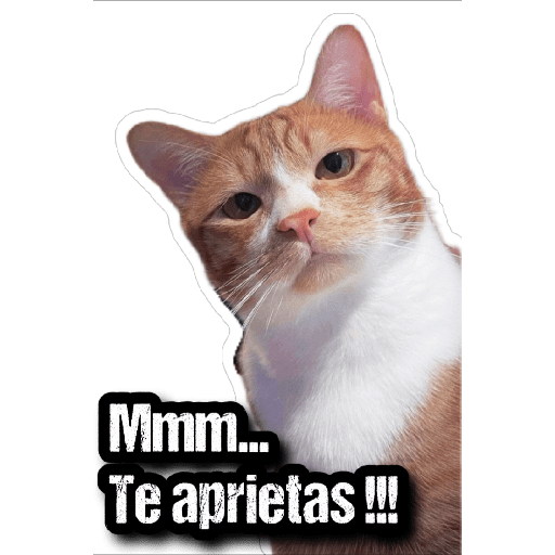 GATOS 2 10
