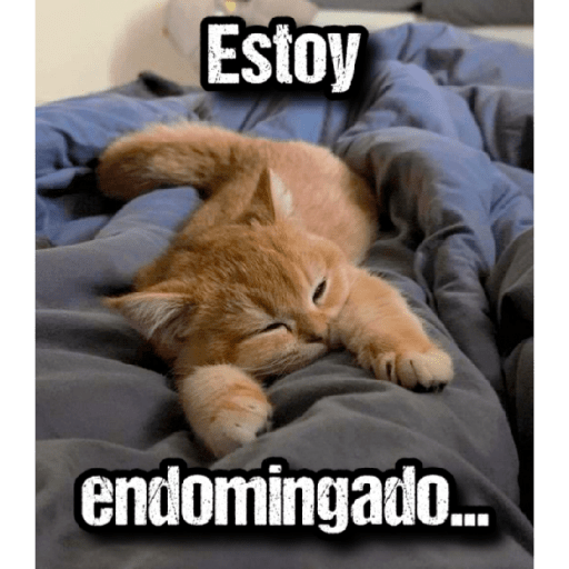 GATOS 2 8