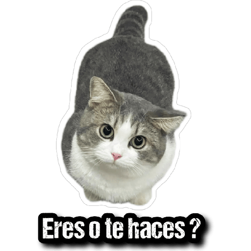 GATOS 2 4