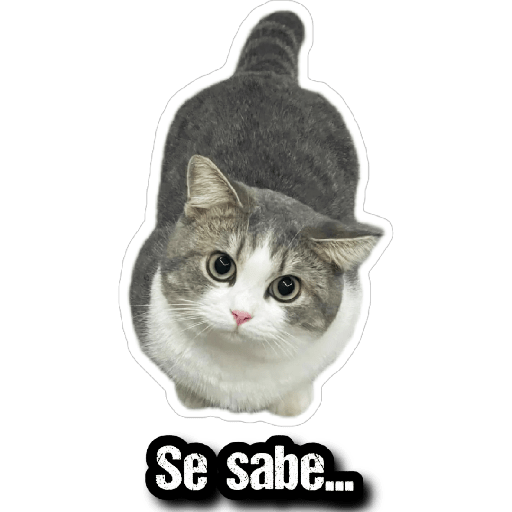 GATOS 2 3