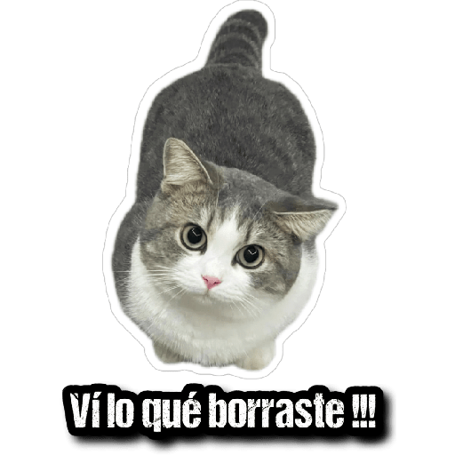 GATOS 2 2