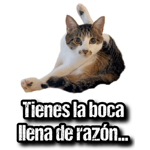 GATOS 2 29