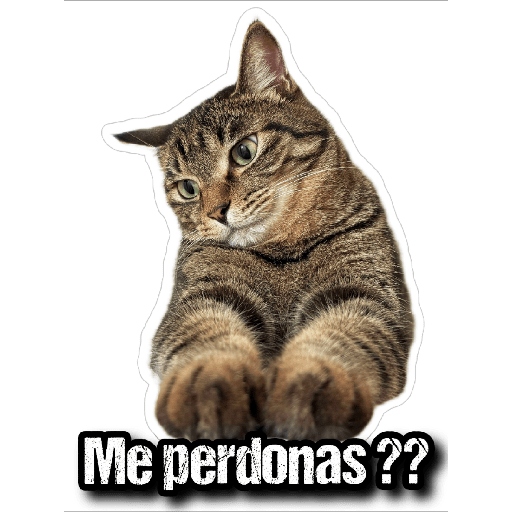 GATOS 2 28