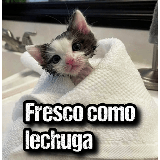 GATOS 2 27