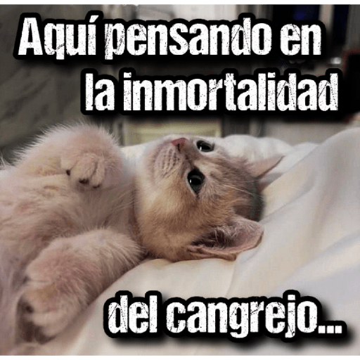 GATOS 2 26
