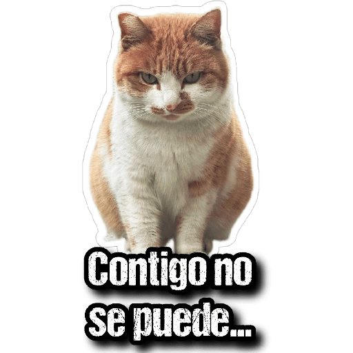 GATOS 2 25