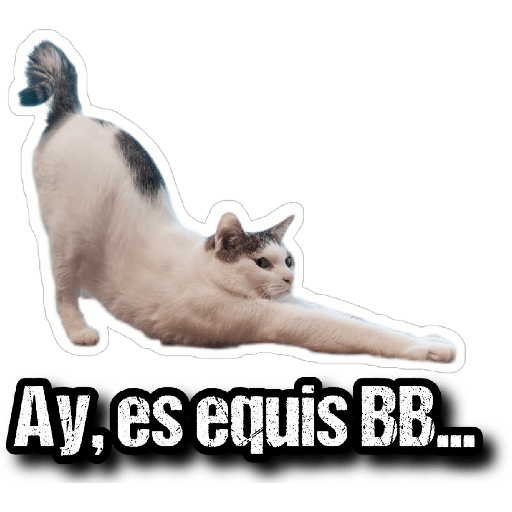 GATOS 2 24