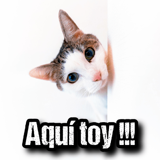 GATOS 2 23