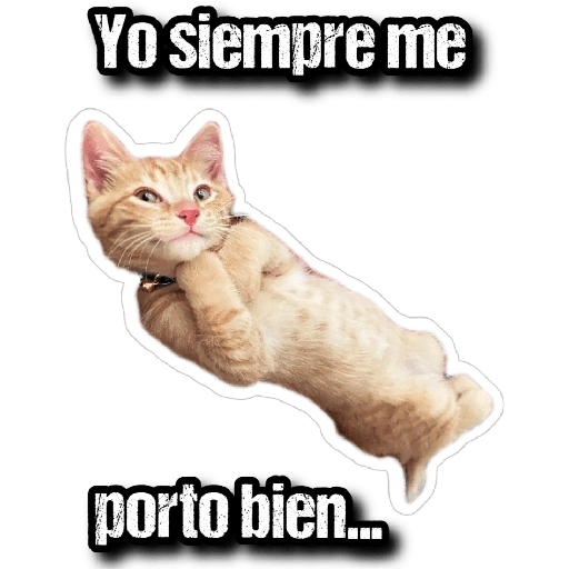 GATOS 2 21