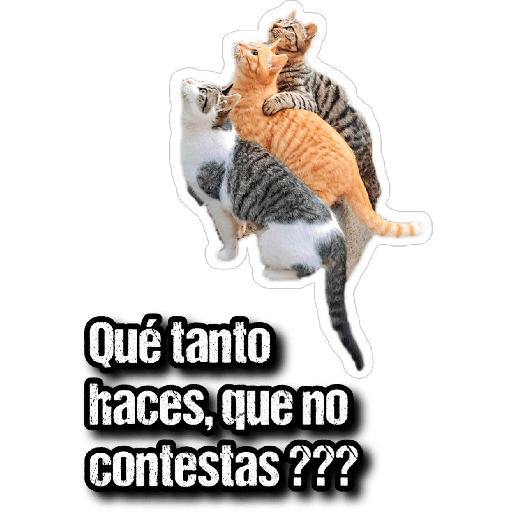 GATOS 2 20