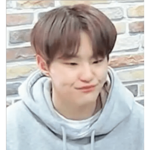 Wonwoo sos el amor d mi vida 5
