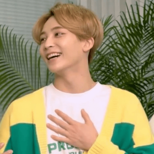 Wonwoo sos el amor d mi vida 11