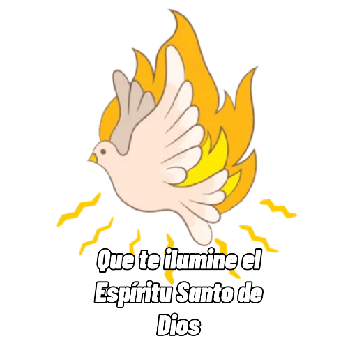 Religiosos 🙏 12