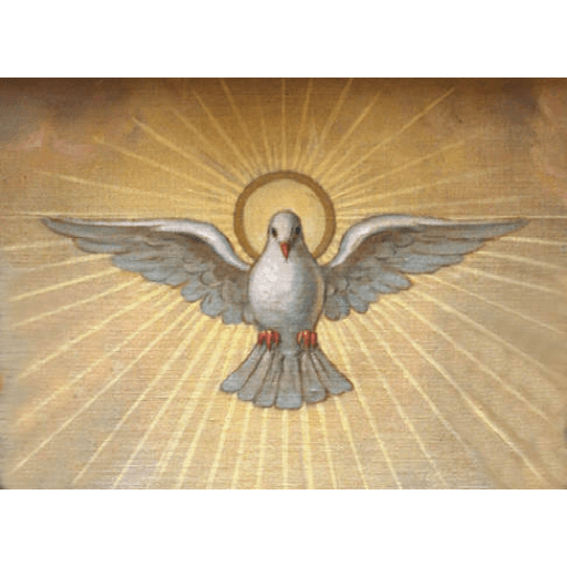 Religiosos 🙏 11