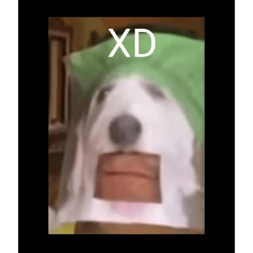 XD 2 10