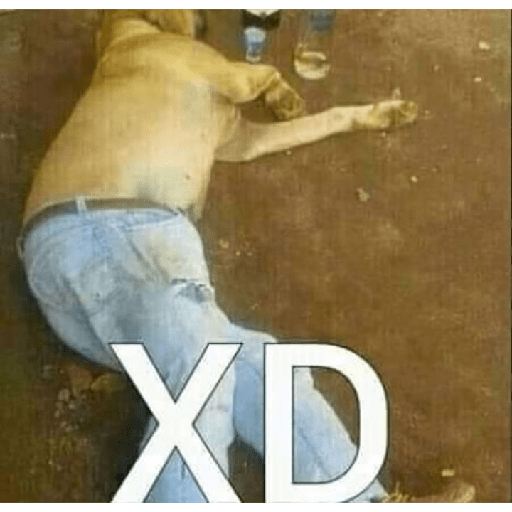 XD 2 4