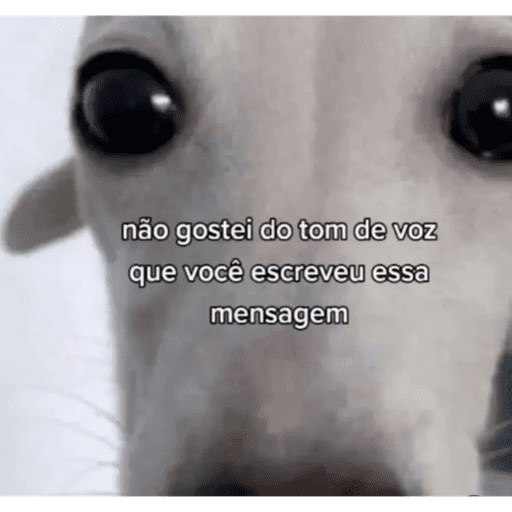 Meme 11