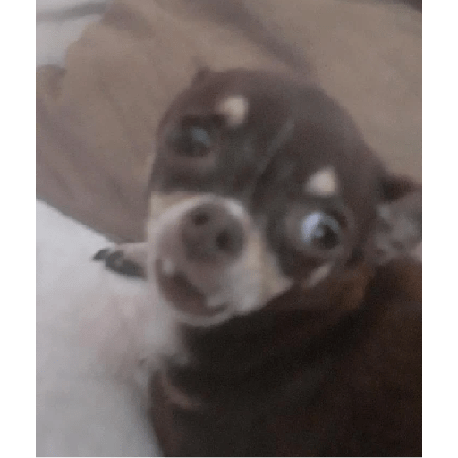 Idk 25