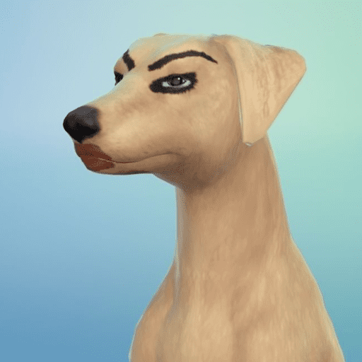 Floptok 2 - Desenhos 6