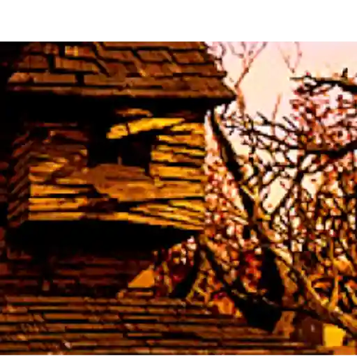 A Casa Monstro GIFs 14