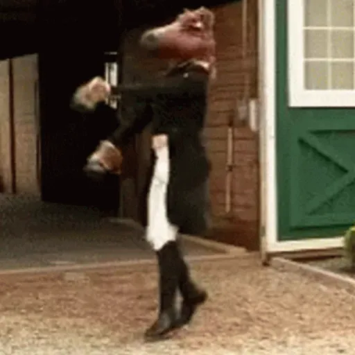 GIFs Reações Aleatórias 11 🤗 6