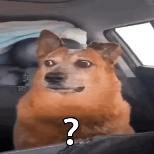 GIFs Reações Aleatórias 11 🤗 9