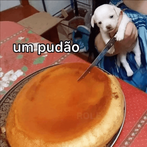 Reações Aleatórias 3 🤪