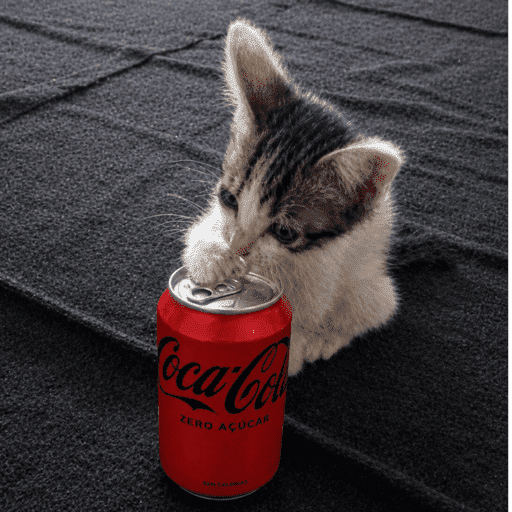 Coca-cola Zero 🖤 18