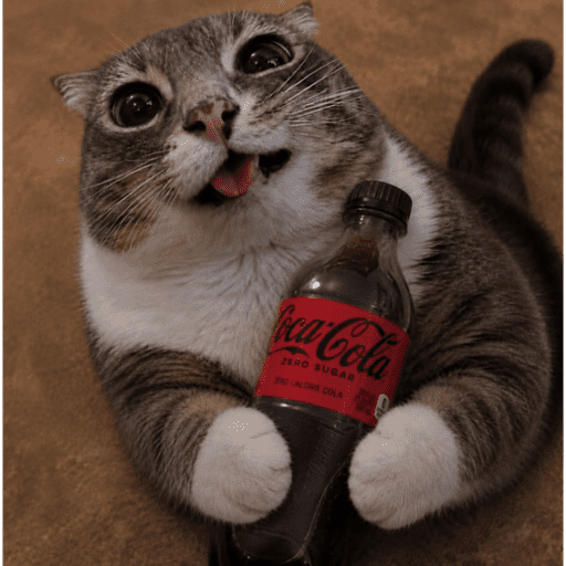Coca-cola Zero 🖤 2