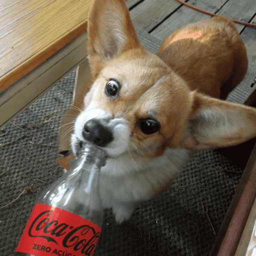 Coca-cola Zero 🖤 3