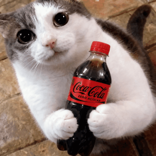 Coca-cola Zero 🖤 16