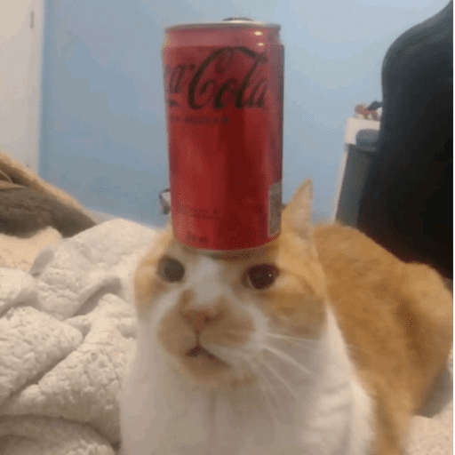 Coca-cola Zero 🖤 12