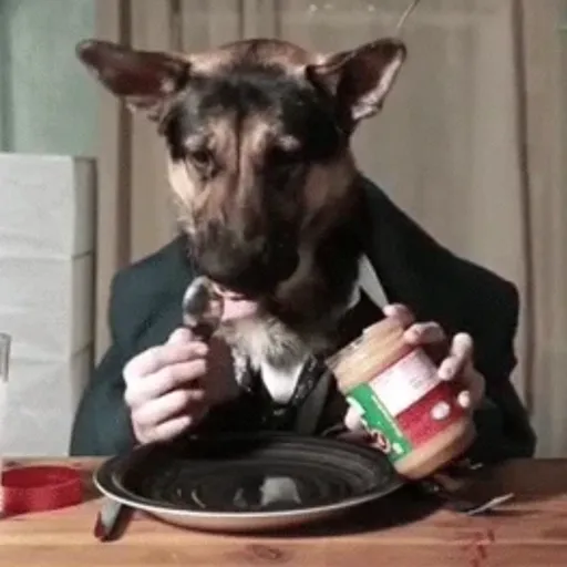 GIFs Comendo 🍽️ 25