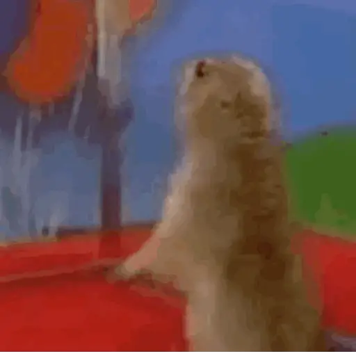 GIFs OMG 2.0 😱 5