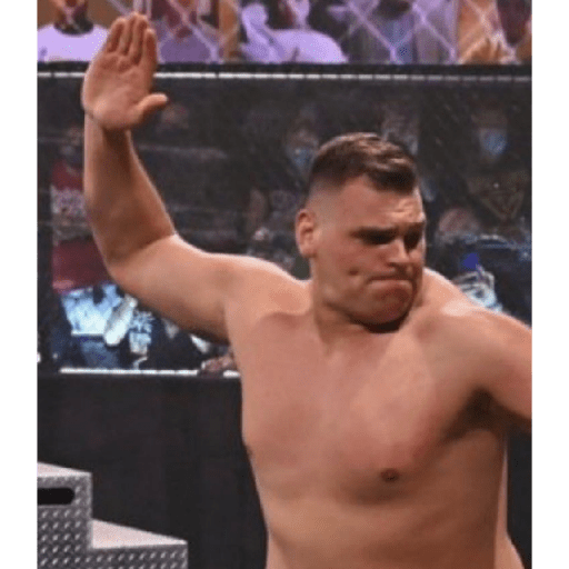 Waitinminute..OMG WWE 12