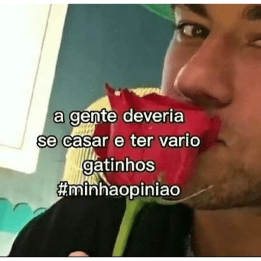 Memes 23