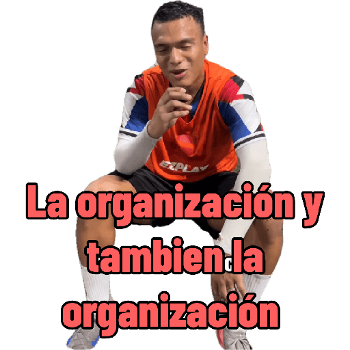 La organización  1