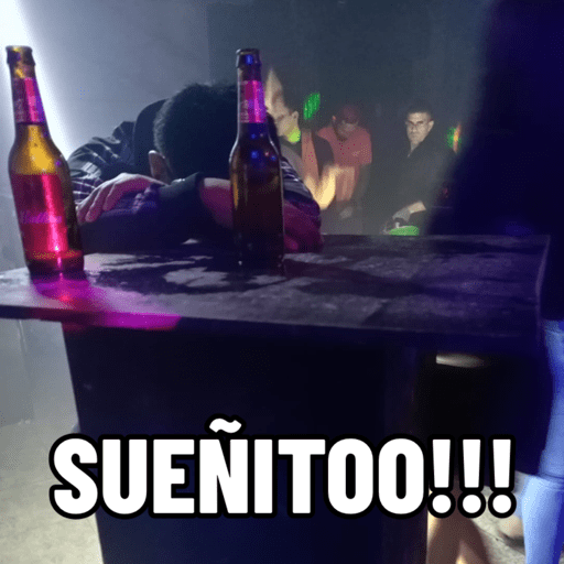 La organización  15