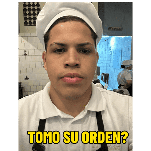 La organización  16