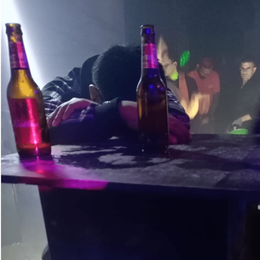 La organización  14
